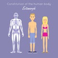 Constitution of Human Body. Ectomorph. Ectomorphic