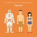 Constitution of Human Body. Endomorph. Endomorphic