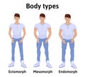 Constitution of human body. Man body types. Royalty Free Stock Photo