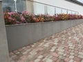 An Constructed concrete block work planter box with Beautiful plants and flowers near staircase entrance and stairs with Stainless