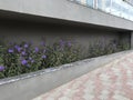 An Constructed concrete block work planter box with Beautiful plants and flowers near staircase entrance and stairs with Stainless