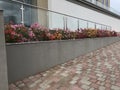 An Constructed concrete block work planter box with Beautiful plants and flowers near staircase entrance and stairs with Stainless