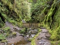 Footpath and bridge in Pucks Glen, Argyll, Scotland