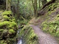 Footpath and bridge in Pucks Glen, Argyll, Scotland