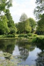 Springtime in Beth Chatto`s gardens