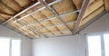 Construction of ceiling insulation