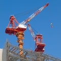 Construction crane