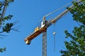 Construction crane