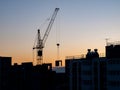 Construction crane for lifting and mounting panels, blocks in the construction of residential buildings, high-rises Royalty Free Stock Photo