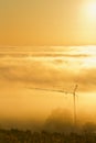 Construction crane at sunrise in orange fog