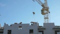 Construction crane, workers work in construction