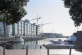 Construction cranes, buildings and powerboats at Viaduct Harbour