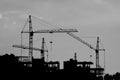 Construction cranes silhouette