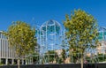 Construction of ellipse-shaped metal structures to insulate the tropical Jacaranda Jacaranda mimosifolia trees.