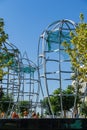 Construction of ellipse-shaped metal structures to insulate the tropical Jacaranda Jacaranda mimosifolia trees. Public city park