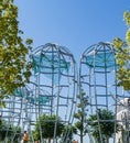 Construction of ellipse-shaped metal structures to insulate the tropical Jacaranda Jacaranda mimosifolia trees. Public city park