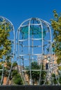 Construction of ellipse-shaped metal structures to insulate the tropical Jacaranda Jacaranda mimosifolia trees. Public city park