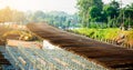 Construction fabrication steel reinforcement bar at the bridge construction site Royalty Free Stock Photo