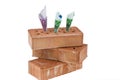 Construction, financing, building societies. Brick Royalty Free Stock Photo