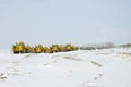 Construction Heavy Equipment parked in a Row