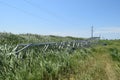 Construction of a high-voltage power line.