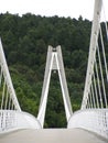 Construction of iron bridge across the river in deep forests in the midle of Europe