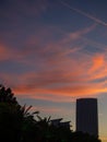 Construction of a multi-storey building against the backdrop of the sunset sky. Construction at the resort. Landscapes of Batumi. Royalty Free Stock Photo