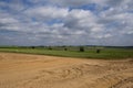 Construction of a new highway leading in green nature