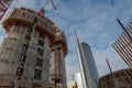 Construction of a new library of trees in the island district. In the architectural redevelopment project Royalty Free Stock Photo