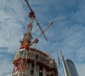 Construction of a new library of trees in the island district. In the architectural redevelopment project Royalty Free Stock Photo