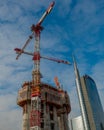 Construction of a new library of trees in the island district. In the architectural redevelopment project Royalty Free Stock Photo