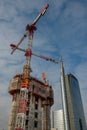 Construction of a new library of trees in the island district. In the architectural redevelopment project Royalty Free Stock Photo