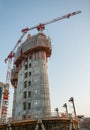 Construction of a new library of trees in the island district. In the architectural redevelopment project Royalty Free Stock Photo