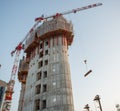 Construction of a new library of trees in the island district. In the architectural redevelopment project Royalty Free Stock Photo