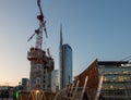 Construction of a new library of trees in the island district. In the architectural redevelopment project Royalty Free Stock Photo