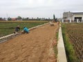 Construction of roads in rural areas in community rice fields Royalty Free Stock Photo