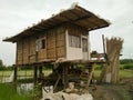 Construction of a rural house of straw in spring.