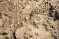 Construction sand texture