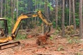 Tree stump removal roots into forest with preparing land for housing new complex Royalty Free Stock Photo