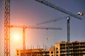 Construction site with cranes on sky background. Sunny day Royalty Free Stock Photo