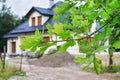 Construction site of a detached house being seen through the branches of oak Royalty Free Stock Photo
