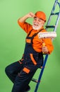 Construction site engineer. senior man painter use roller on ladder. painting wall in green. professional painter in Royalty Free Stock Photo