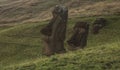 Construction site of the moai of Easter Island