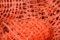 Construction site net Royalty Free Stock Photo