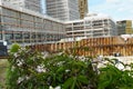 Construction site of a new residential district with buildings covered by scaffolding and protective nets. The site is surrounded Royalty Free Stock Photo