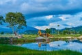 A construction tractor works in a field on a tropical island. Start of construction