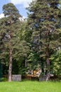 Construction trench between the trees in the park