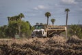 Construction Vehicle - Dump truck with load of dirt in the middle of a Florida wetland