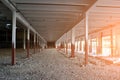 Construction of a warehouse complex, inside view. Columns are installed, crushed stone is laid on the floor.