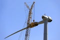 Construction of a windturbine Royalty Free Stock Photo